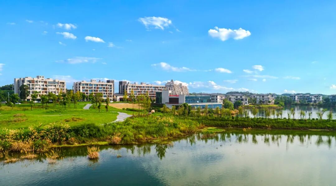 ͷ�����(�й�)Ψһ�ٷ���վ