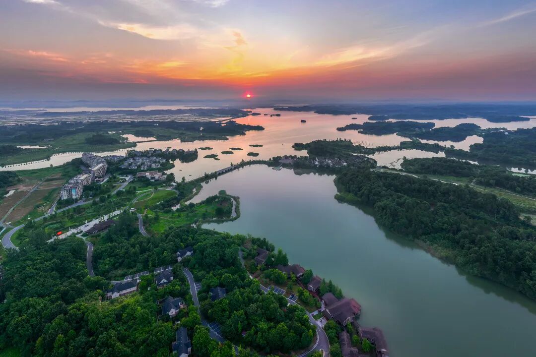 ͷ�����(�й�)Ψһ�ٷ���վ