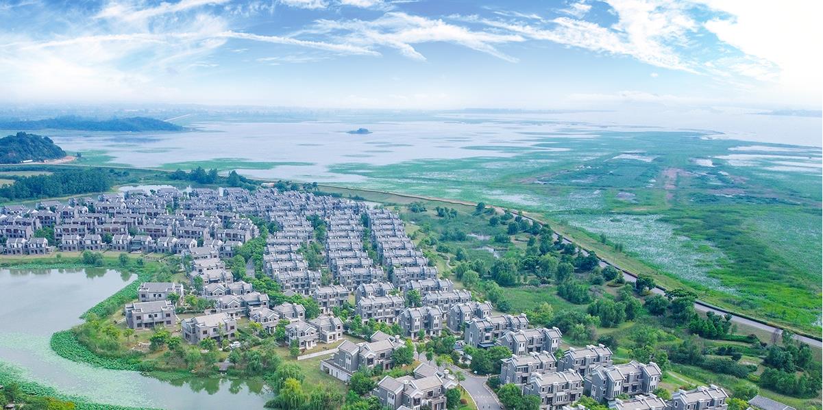 ͷ�����(�й�)Ψһ�ٷ���վ